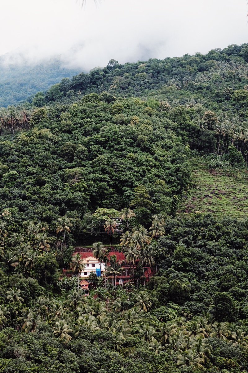 Azeem Azeez tweet media