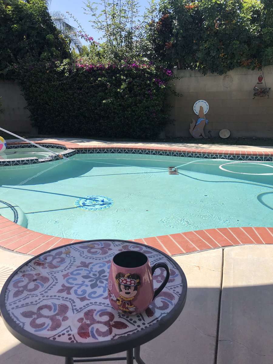 Rosemar14449299's tweet photo. Nice calm morning chilling by the pool https://t.co/MTyEK4yoH6