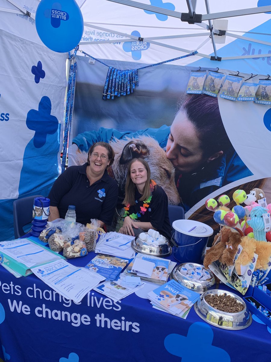 CarinaGlover's tweet photo. Successful day... Plenty of donations... We’ve met loads of doggos who have enjoyed our treats bowl and a visit from Blue Cross dog Henry 💗 @BlueCrossEvents 

#BlueCross #LowedgesFestival #Donations #Fundraising #BlueCrossEvent 🐕 https://t.co/S7gQdCzF6P