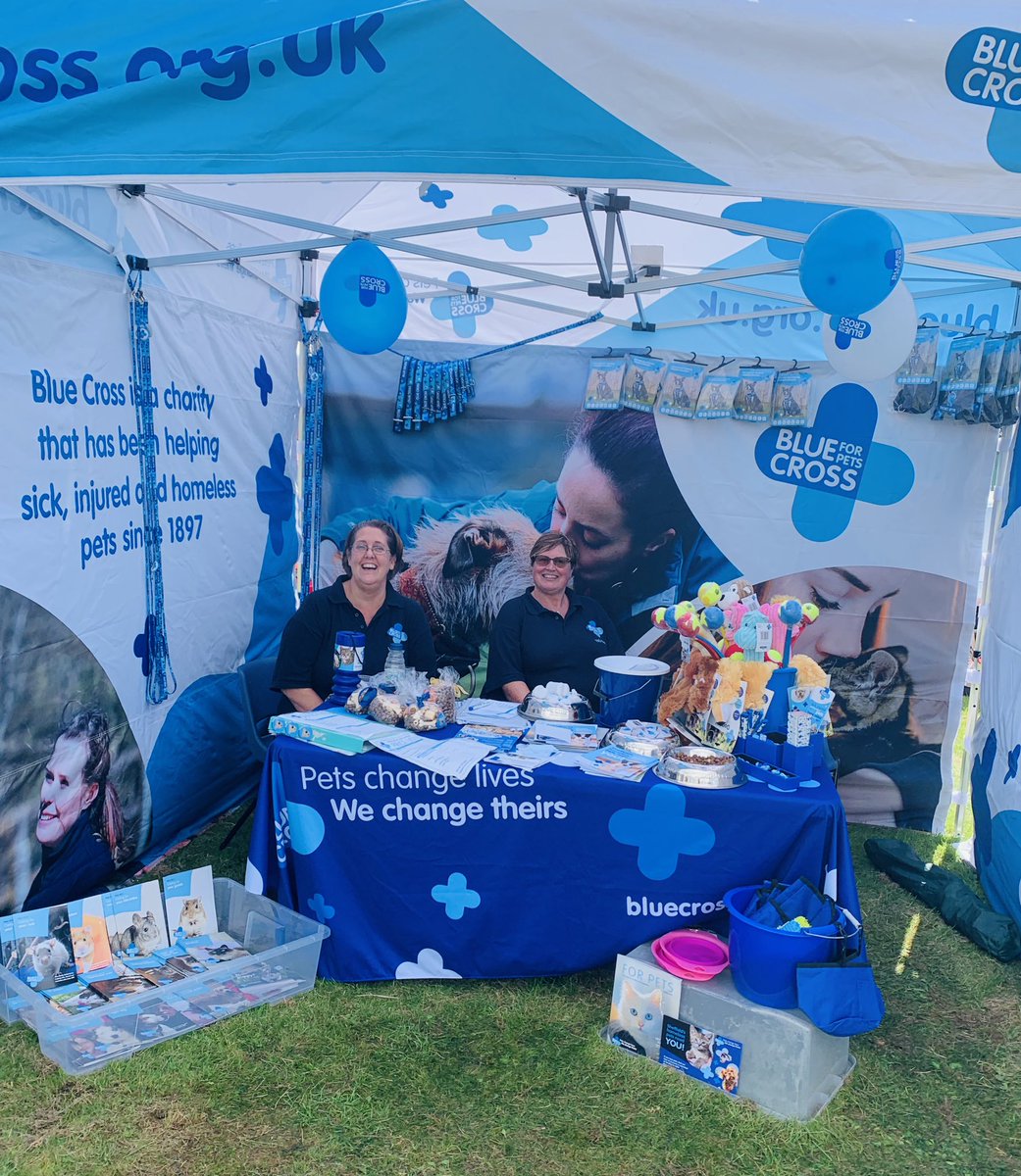 CarinaGlover's tweet photo. Successful day... Plenty of donations... We’ve met loads of doggos who have enjoyed our treats bowl and a visit from Blue Cross dog Henry 💗 @BlueCrossEvents 

#BlueCross #LowedgesFestival #Donations #Fundraising #BlueCrossEvent 🐕 https://t.co/S7gQdCzF6P