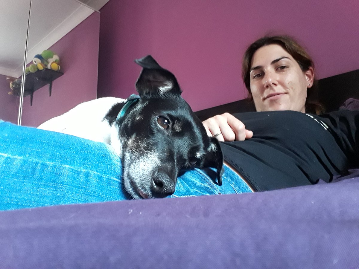 JazzGrumpyDog's tweet photo. Preventing mum from getting up https://t.co/P8fVHfTLzR