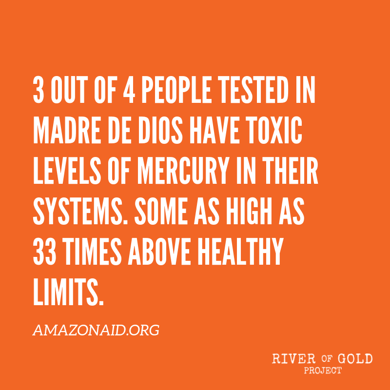 Mercury is magnified through the food chain, and when illegal gold miners use it to mine for gold, it infects the #amazonrivers, its fish and its people. It is an extremely toxic substance that affects the brain, nervous system, kidneys, and lungs.