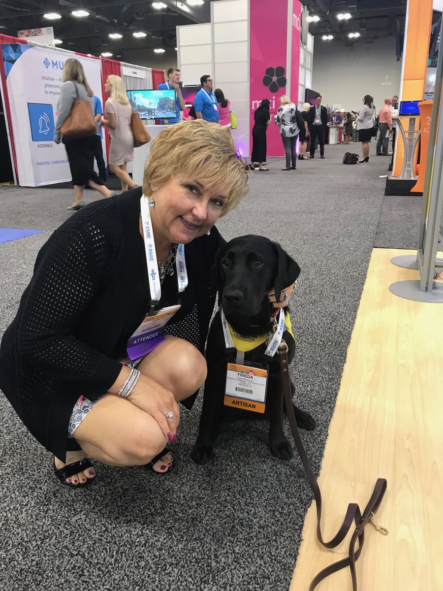 DENISEHASTY's tweet image. Me and Frieda hanging out today.  She’s a service dog in training for a special veteran somewhere. Thanks to @naylorLLC for the $5 donation per post toward the cost of Freda’s training (a $50,000 coat!).  #asae19 #AmericasVetDogs