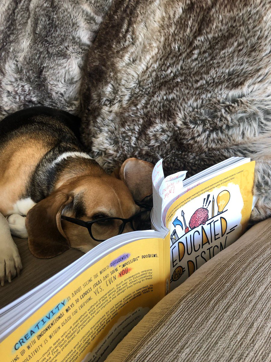 Dawn Ross tweet media