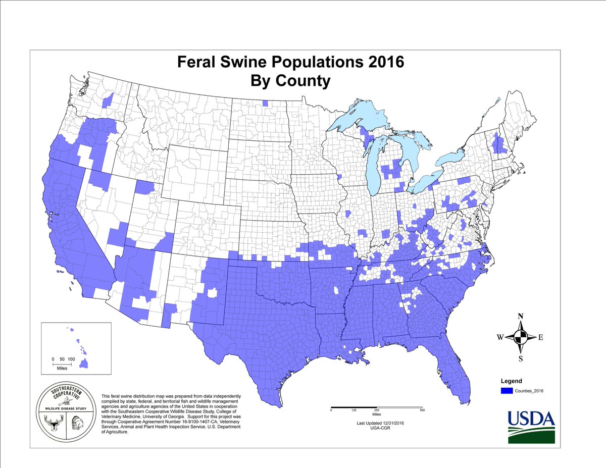USDA's tweet photo. Feral swine have been reported in at least 35 states, with a population estimated at over 6 million.

Our agencies stand ready to work with partners at the state &amp; local level to respond to the threat of these destructive invasive species - learn how https://t.co/CAaPM6cJdc #ASF https://t.co/3EGrlpGe0e