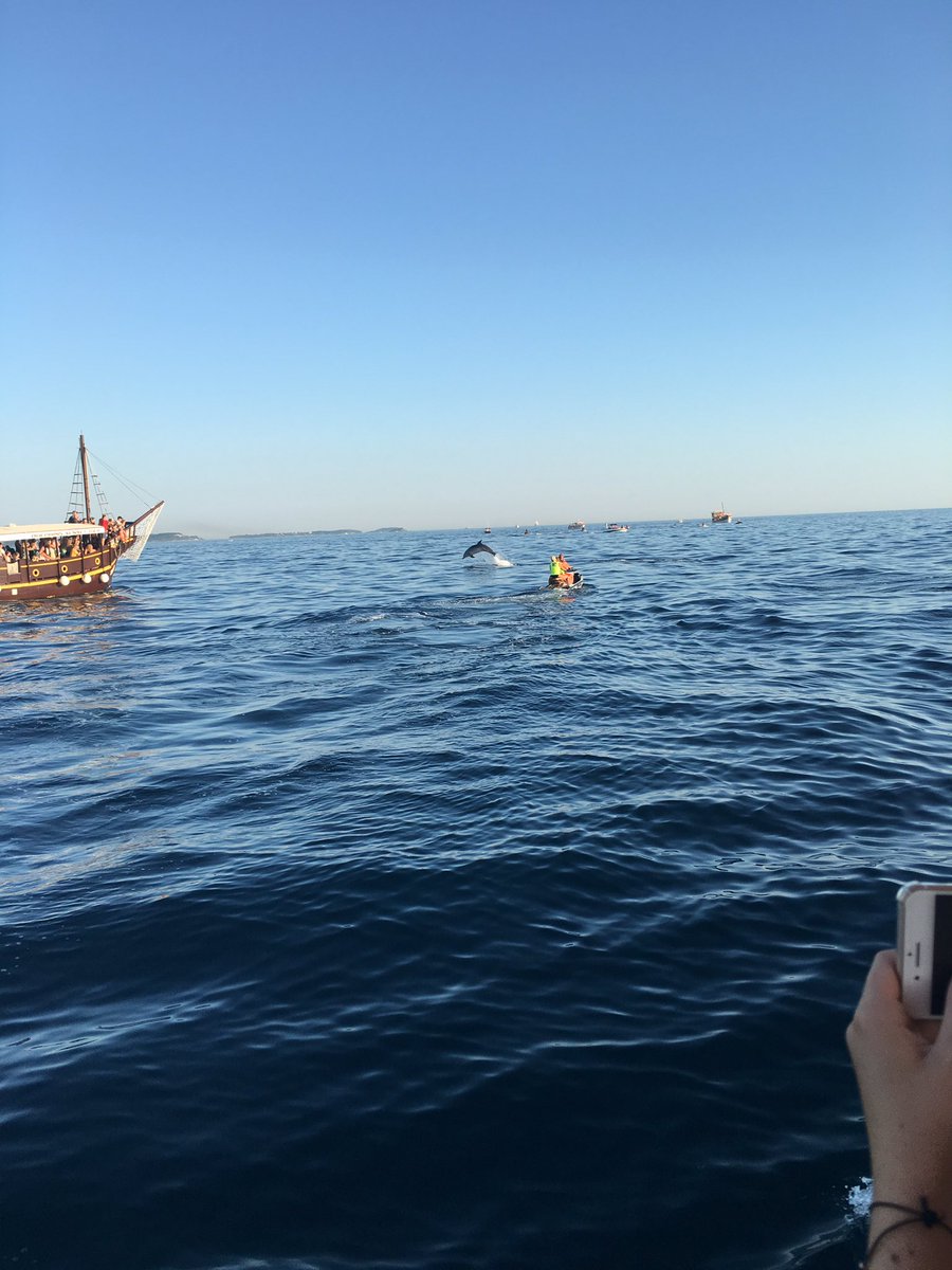 trees_63's tweet photo. Terugdenken aan weer een fijne vakantie in het mooie kroatie 🏖⛺️💕🐬 https://t.co/tK4yekrfDZ