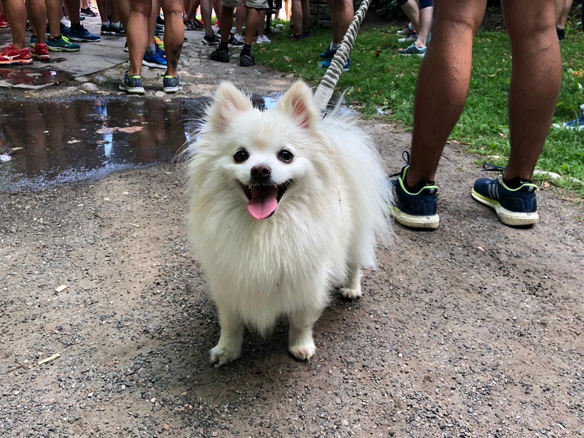 MiguelNavarro7's tweet photo. WOW.... that's a lot of runners! #AleYards #Shacklands #JunctionCraft #Rainhard #RunTOBeer #Toronto #Running #BeerRunnera #BeerLegs @RunTOBeer @Shacklands @JUNCTION_CRAFT @RainhardBrewing https://t.co/mHSSj8Vf3t