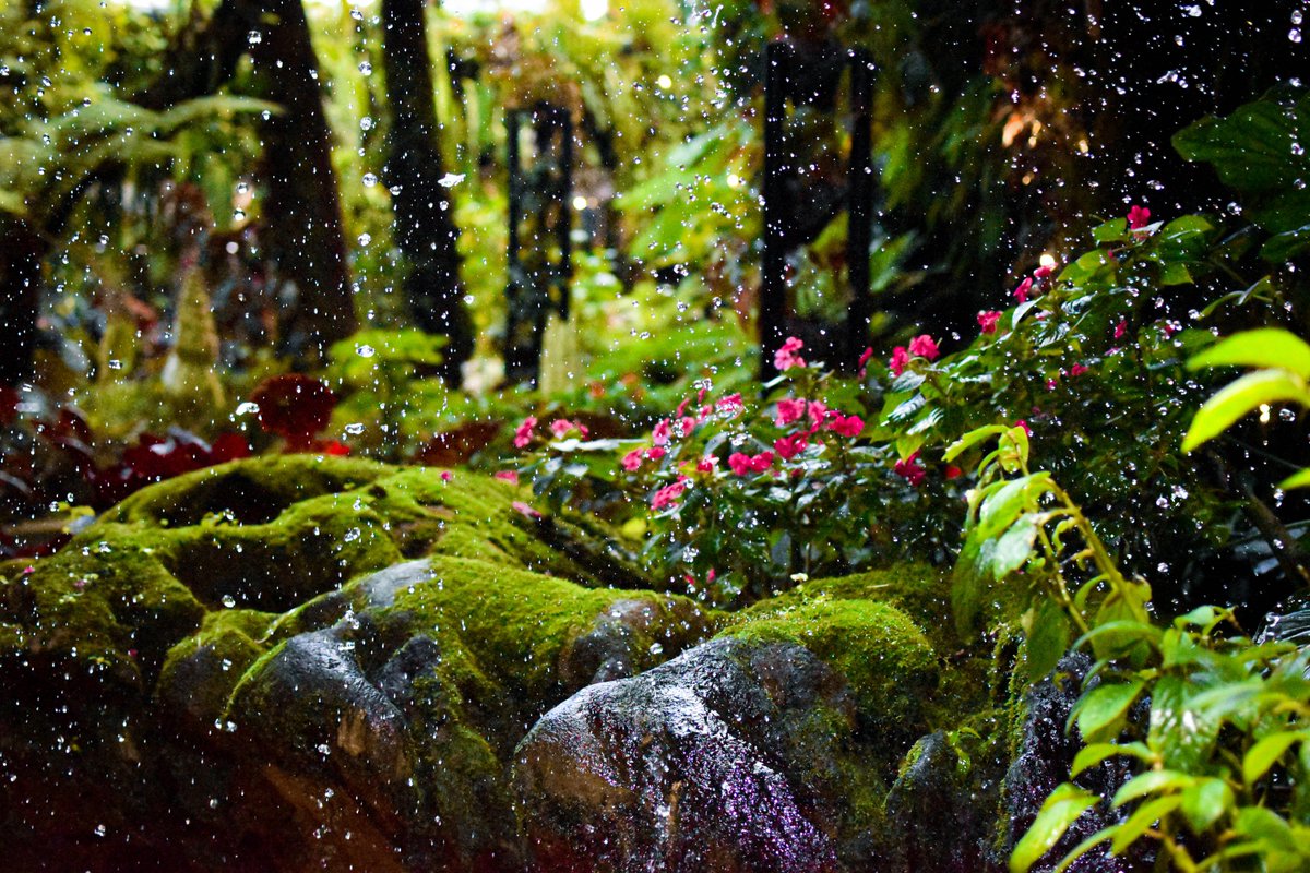 RandWander's tweet image. I have started on our next blog post! Here is a little hint on the topic... can anyone guess?
#randrwander #travelblog #travel #Blog #travelbloging #itsnotrain #perfectplaceforaselfie #almostnature #photography #moretocome #STAYTUNED #canadiansabroad