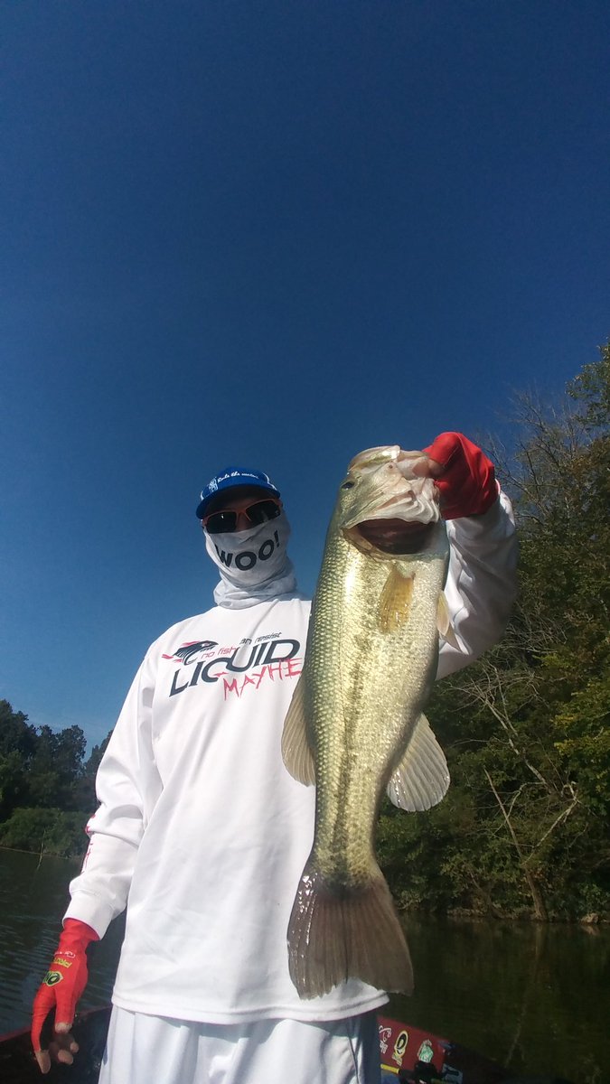 CMFishing's tweet photo. They were smacking that @screwylewylures #headknocker buzz bait, in bluegill pattern! Get yours at https://t.co/0HZAvNVMfz use code CODY2018 and save π° every time. #WeDriveFishCrazy https://t.co/5oFD9W8xR0