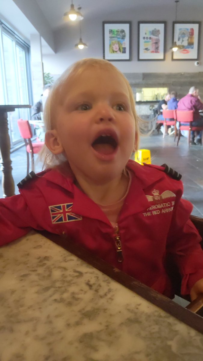 NathanielCodes's tweet photo. @rafredarrows Do you think she would make a good pilot?? https://t.co/APkByo0DTU