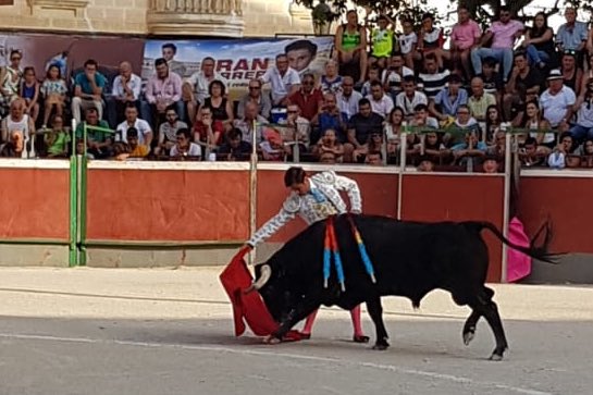 Blanca al instante. Muy buen primer novillo desde los primeros tercios y con mucha entrega, clase y transmisión en la muleta. Importante <a href="/FranFranferrer/">fran ferrer lopez</a> que corta la oreja