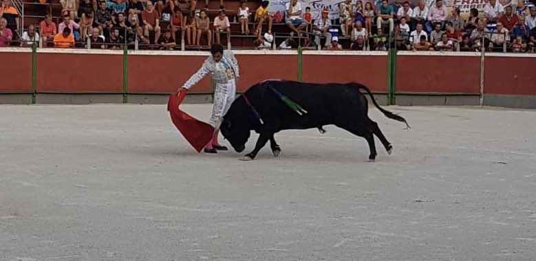 Otro novillo con muchas posibilidades por nobleza, movilidad y clase, el tercero de la tarde segundo del lote de <a href="/FranFranferrer/">fran ferrer lopez</a> que le corta otra oreja tras faena intensa