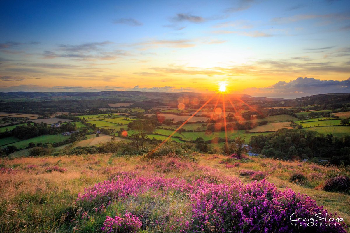 CraigStoneUK's tweet photo. If you stopped scrolling to look at these images, show your appreciation with a retweet. 👍

Taken Sunday evening on the @Quantockhills.  Stunning scenery and the Heather is just beautiful this time of year. 😍📸 https://t.co/ZPIR2t7Zkc