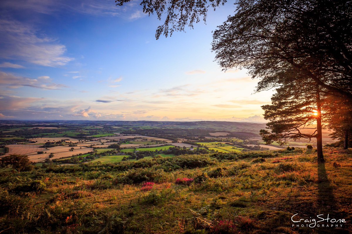 CraigStoneUK's tweet photo. If you stopped scrolling to look at these images, show your appreciation with a retweet. 👍

Taken Sunday evening on the @Quantockhills.  Stunning scenery and the Heather is just beautiful this time of year. 😍📸 https://t.co/ZPIR2t7Zkc
