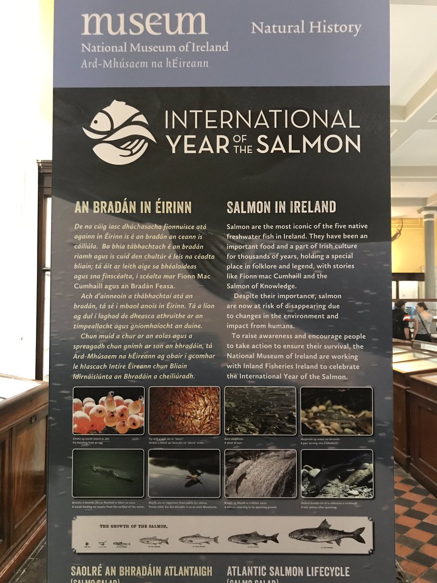 Even on vacation I’m always on the lookout for #marinebio and fish health concerns- this info board on Atlantic #salmon is a great addition to @NMIreland Natural History’s main floor 🐟 🇮🇪 #EIMD2019