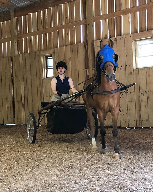 loveshorsesoh's tweet photo. Always posing 💁🏻‍♀️💁🏻‍♀️.
.
Proud to represent:
@c4beltseq - c4h6224
@buckwildbreeches - https://t.co/Nzf6LtBGVq
@baysandbluesco - HANNAH10 https://t.co/iiAILgxJfp https://t.co/p8zEXsy2nn