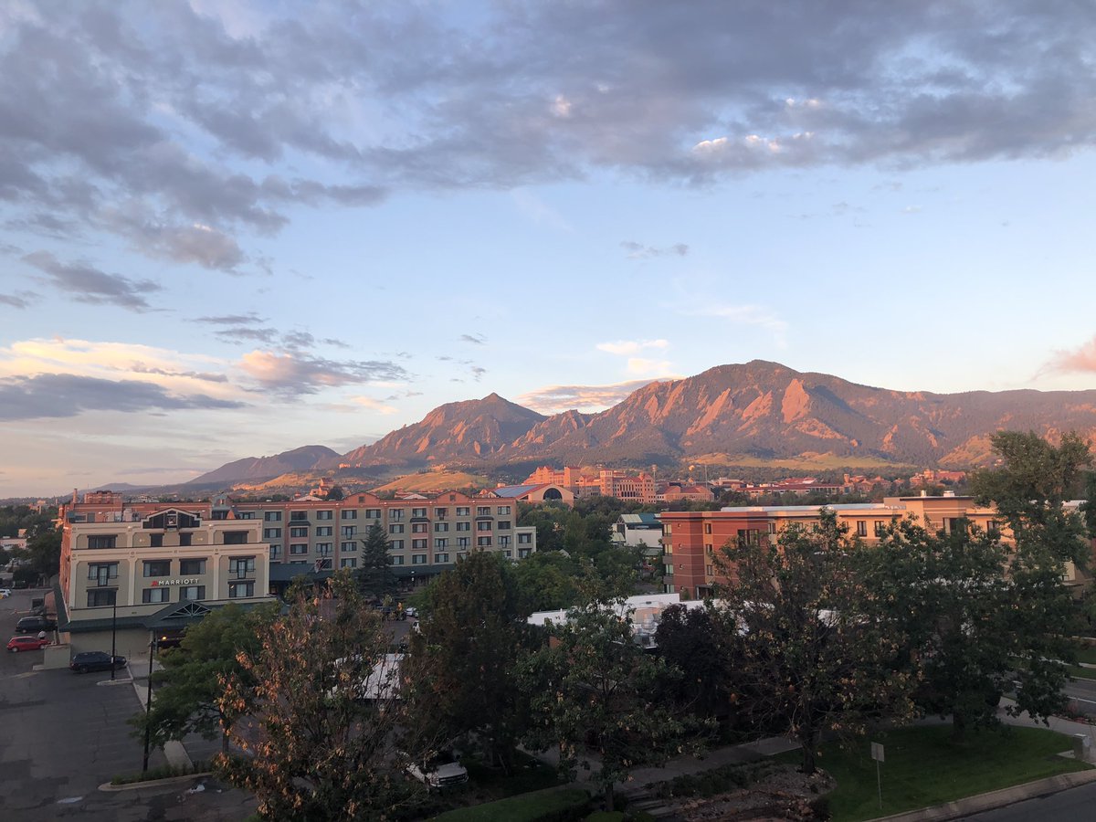 Josh Bone tweet media