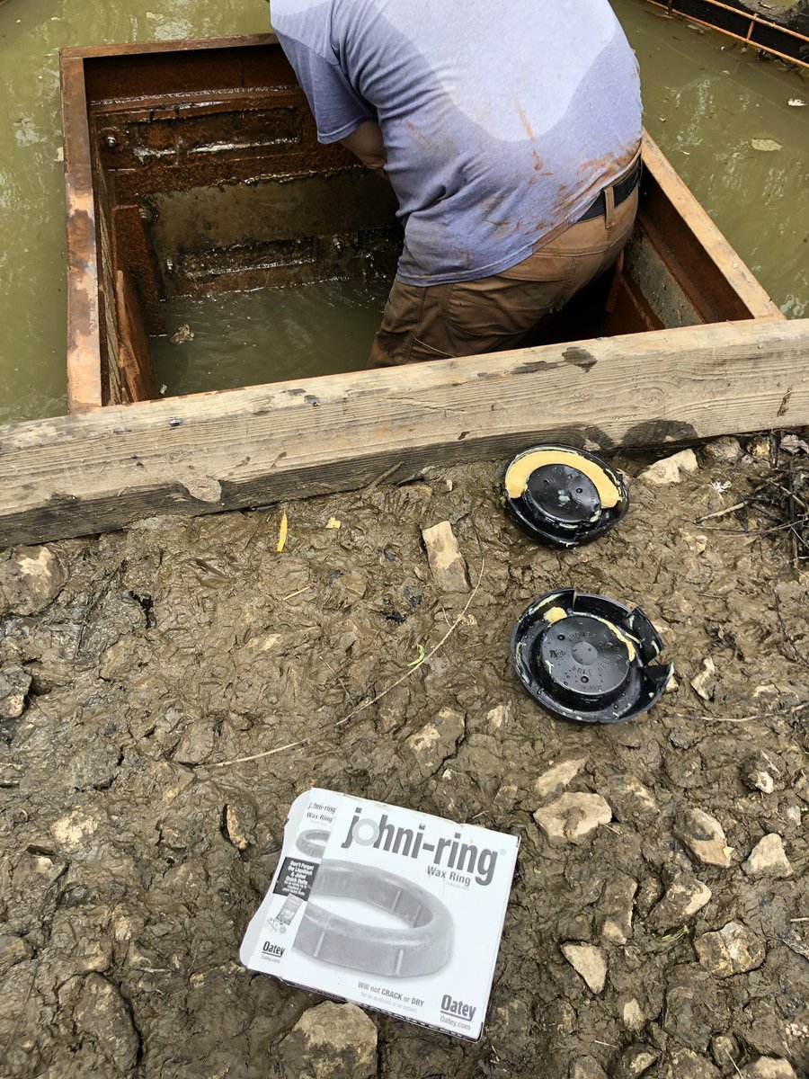 Fordrbr's tweet photo. Duck 🦆 Hunters best friend. #johniring #plugtheleaks. https://t.co/u7rMur8JRz
