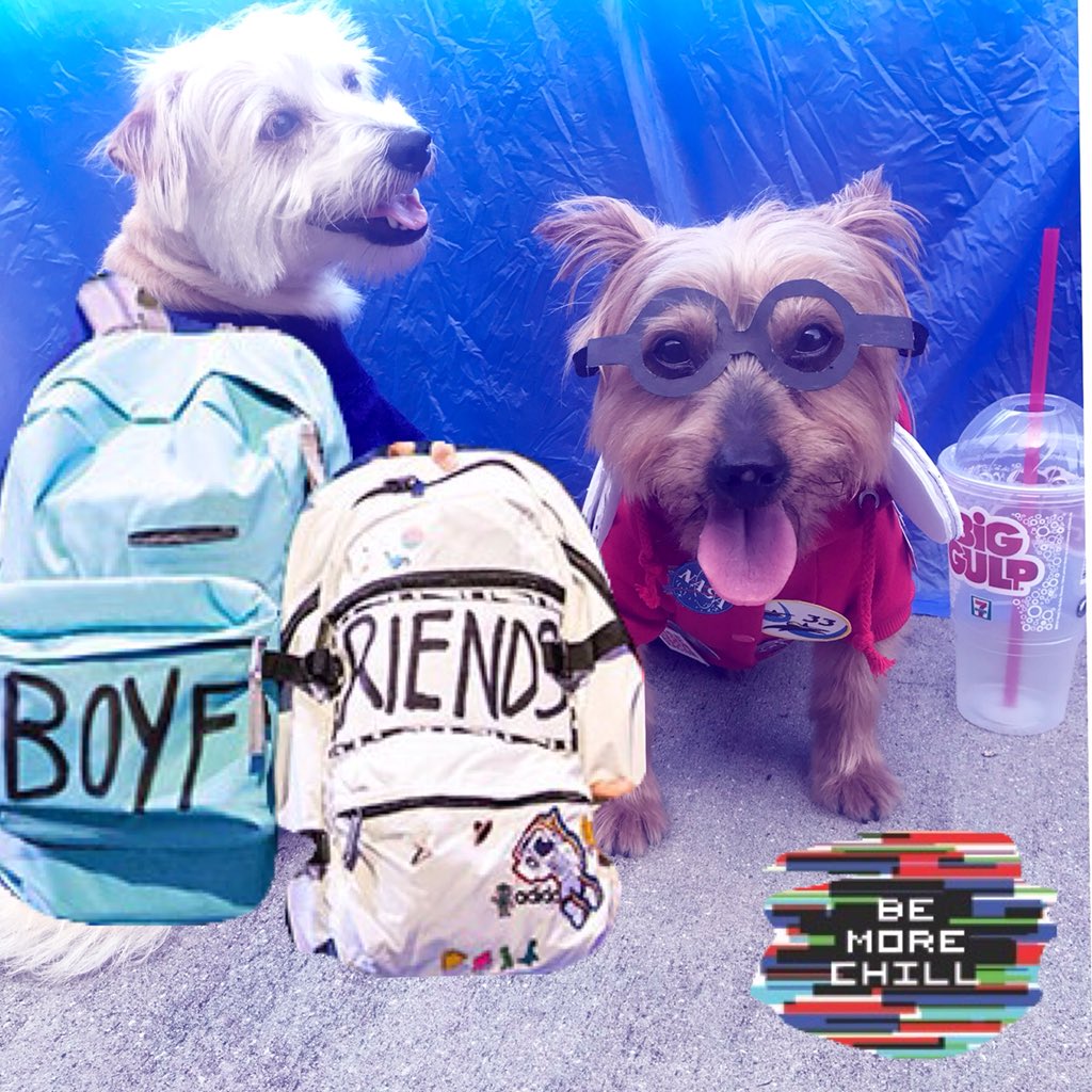 BroadwayDogs's tweet photo. @officialazucena @BeMoreChill https://t.co/OLlblNepLh