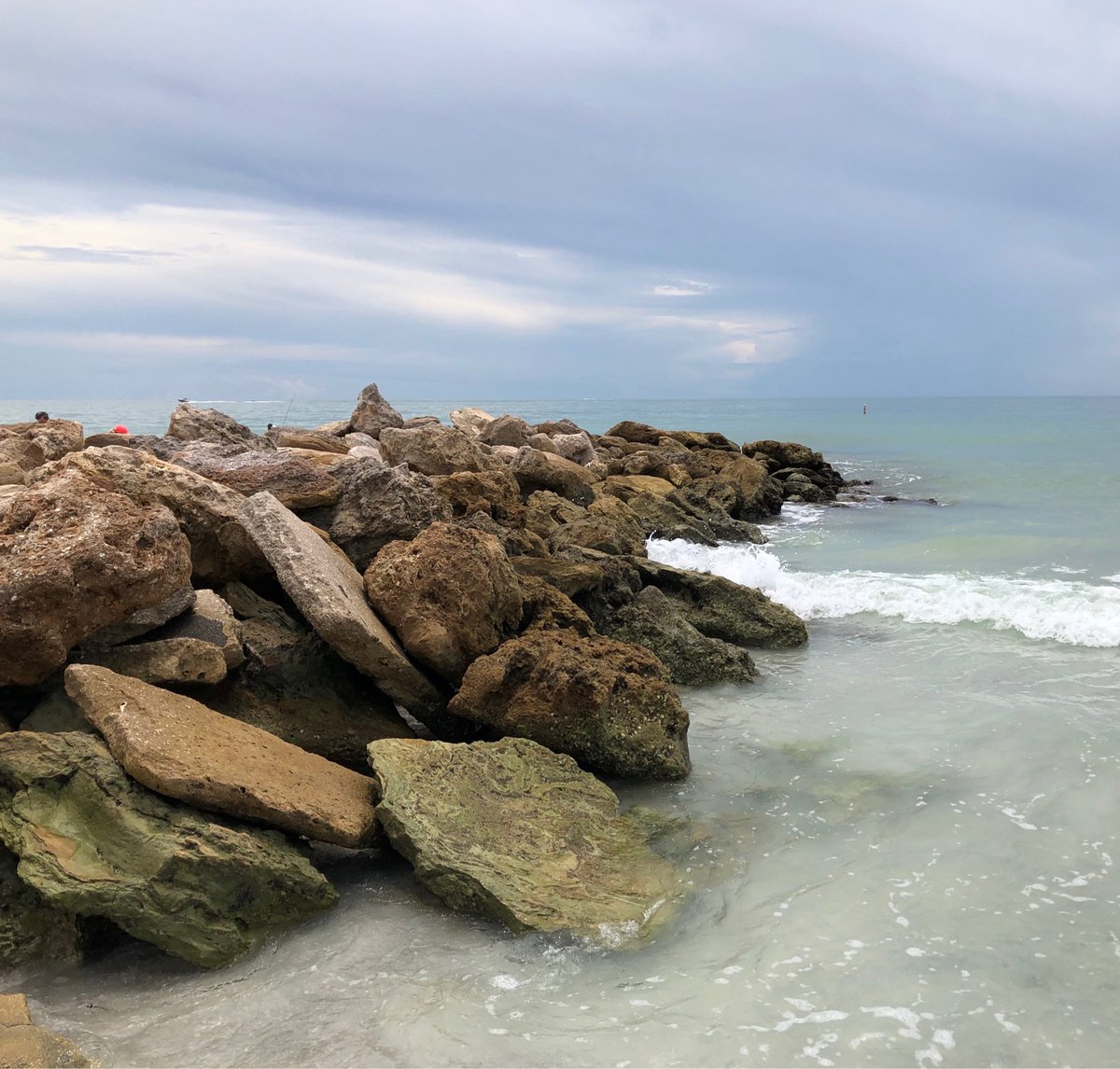 RealSaltLife's tweet photo. Jennifer Cohn sent us this beautiful shot from Lido Beach, Sarasota, FL
#FanPhoto #LivingTheSaltLife https://t.co/s9cJOvTTU5