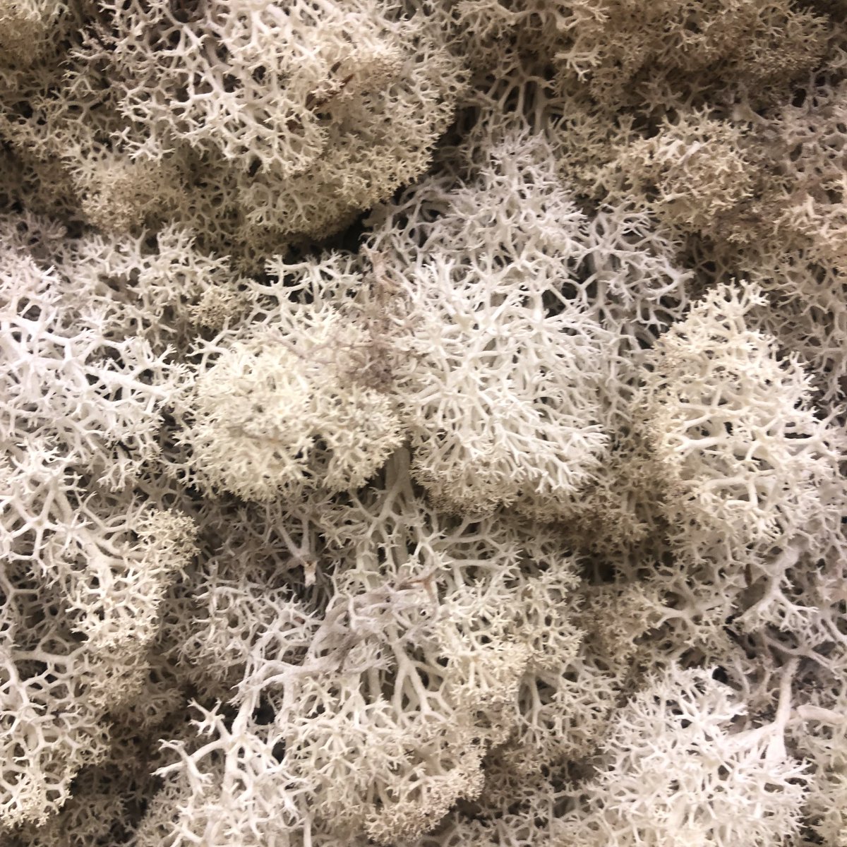 Smithster76's tweet photo. It really is worth a visit. And at the 11th hour we were able to give it a plug in the #NationalParkCity #MakerPaper @LondonNPC https://t.co/b6N7N8NGtZ