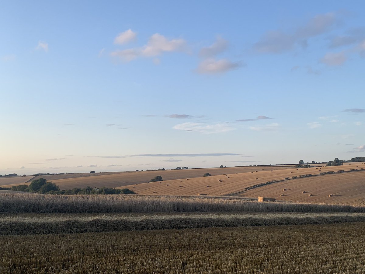 GrainFinger's tweet image. Stunning #harvest19 evening on the @LincsWoldsAONB