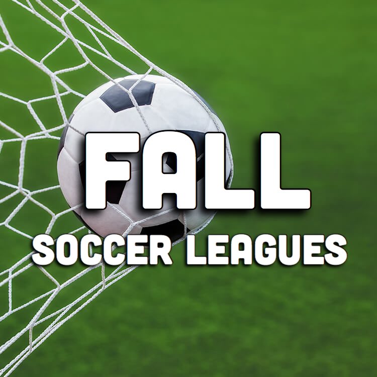 WideWorld Ann Arbor tweet media