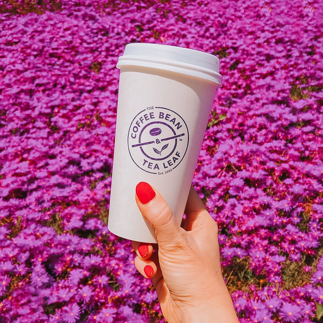TheCoffeeBean's tweet photo. Take time to sip and smell the flowers. βπΊ
Today's #brewtifulviews is brought to you by IG: alisonrubke https://t.co/FjH1EI7OBx