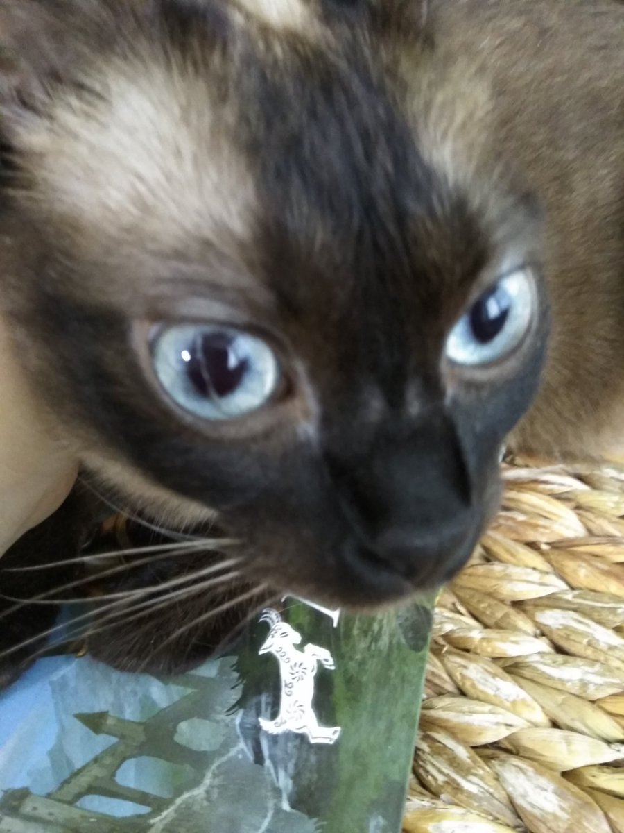 🍯Ariadna Espino🍯 tweet media