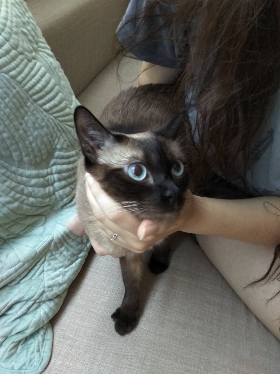 🍯Ariadna Espino🍯 tweet media