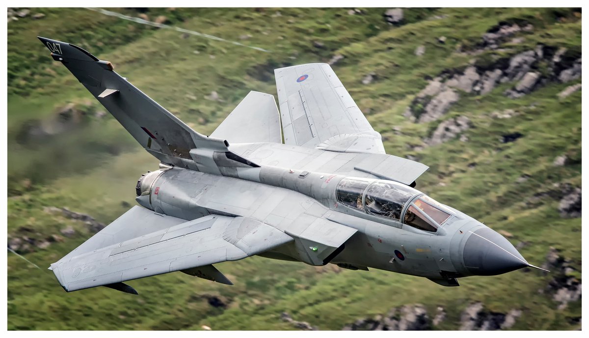 robmac2568's tweet photo. #swingwingsunday Naked lady https://t.co/DuJ1WYV4N9