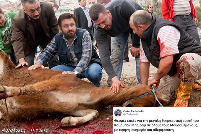 Προβολή εικόνας στο Twitter