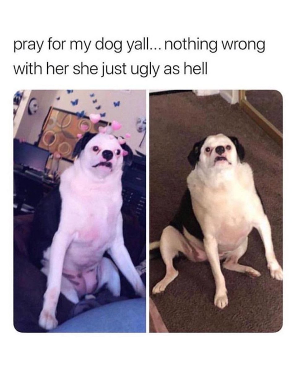 theCHIVE's tweet image. i'm not sure prayer will help...