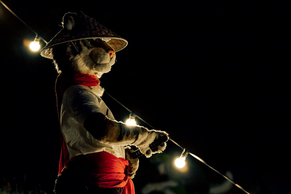 'On Guard I will Stay!'

I highjacked a photoshoot, ma brother <a href="/askimaru/">Askimaru</a> had with other furs.
 But I will say I still did good. 😁

#streifensunday #furry #fursuit #FursuitFriday #east #east9 pic.x.com/4BgTWOGuux