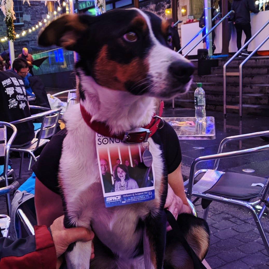 ootb_jazz's tweet photo. Our new mascot helping us flyer πΆππ©πΌπ· 1 day to go! @edfringe @thespaceuk #edfringe #thespaceuk #edinburghmusic #jazzband #ootb #ootbjazz https://t.co/VcGkOrG50M