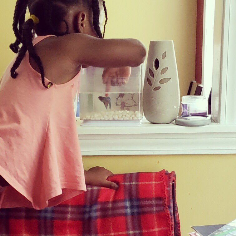 Lyneka3's tweet photo. Questions: Why is she so bad? Was the fish bothering her? Should I beat her? Why is she so bad? And should I beat the brother who took this pic and sent it to me instead of making her stop? #journey #poorfish #whatamigoingtodowithher #babygirl #spoiledrotten https://t.co/Y82lTMnP4p