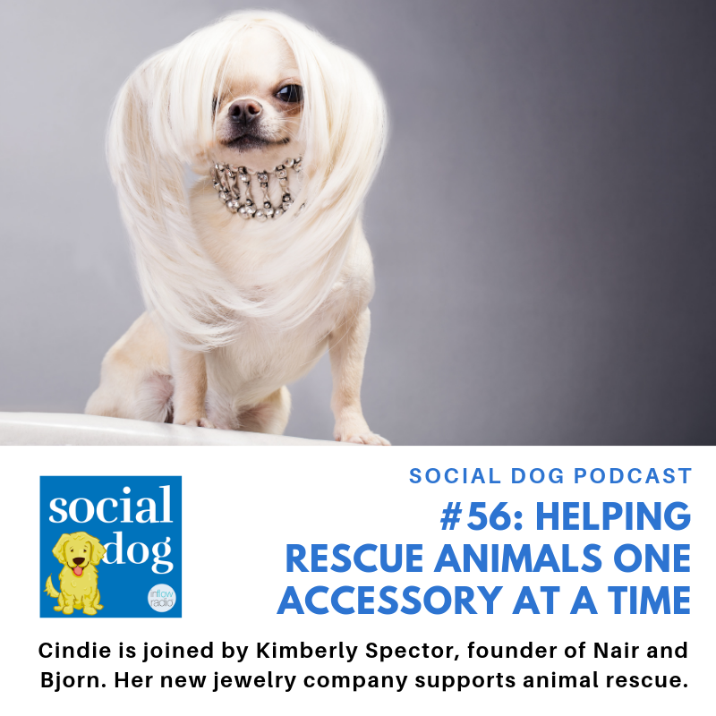 inflowradio's tweet photo. Cindie's guest today, Kimberly Spector, owns "Nair and Bjorn" —a special jewelry and accessories company that funds her animal rescue efforts. A great podcast showing how you can pursue your passion and support a cause in one swipe! Listen to the podcast now. https://t.co/Qz2qJTLzIA