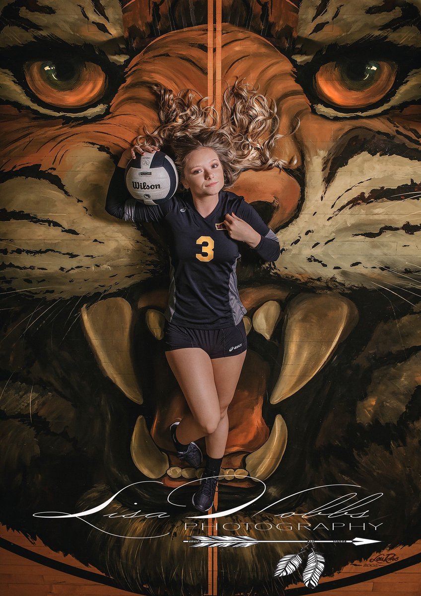 Alexandria Volleyball tweet media