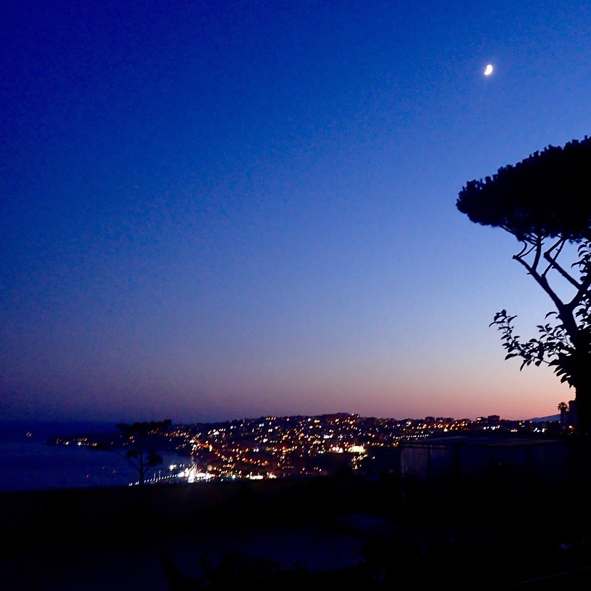 Just released a cool update of my Audio2Synth∿ #max4live device for #abletonlive. Put any audio in 🦝, and the pitch detector generate frequencies through 3x synths 😍 #szkdevices #download #free #maxmsp maxforlive.com/library/device…