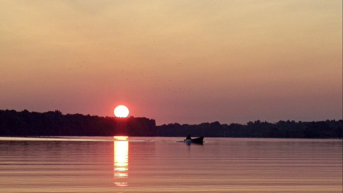 🇷🇴 [🆕 VÍDEO] Además de #Bucarest veremos el amanecer en el Delta del Danubio. Ese día me levanté a las 4:30 de la mañana para filmarlo... ¡así que no seáis vagos y a ver el vídeo! 😅 Con Visita Rumania #RumaniaEnamora y 360Travel.es youtube.com/watch?v=jZKB9k…