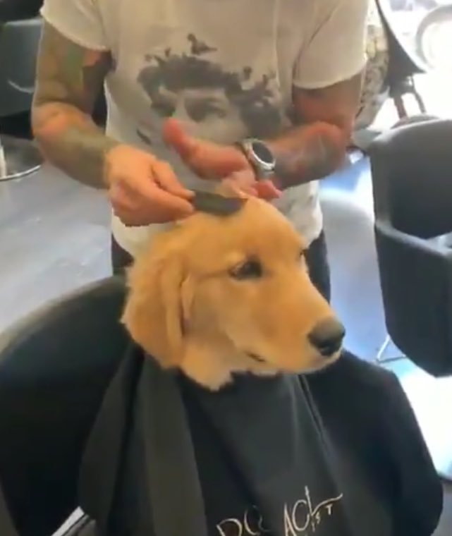 codyasadog's tweet photo. https://t.co/0uKWj898IO