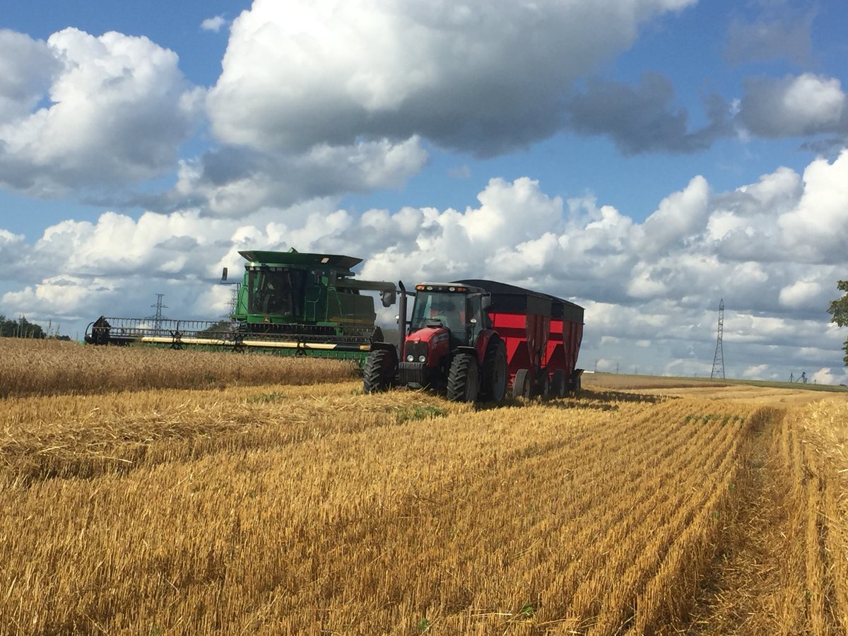 RonKeys1's tweet photo. Well that’s a wrap for 2019 wheat harvest. Stubborn soft white finally ripened #harvest2019 https://t.co/IkWdAuZYWm