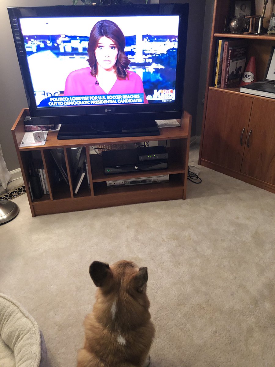 jrovner's tweet photo. Thanks @KasieDC for having me on and for Wallace’s tv debut! https://t.co/8fy4ynRd5E