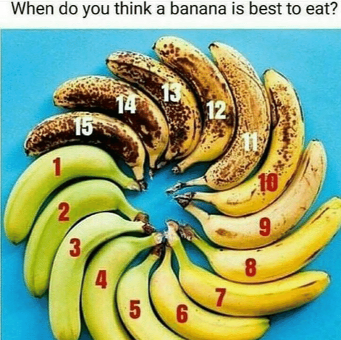 Rob - homelespenguin tweet media