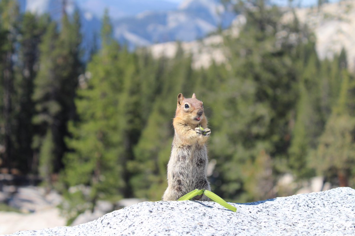 USA20193's tweet photo. Found a little friend on the way here........ https://t.co/0R8vA41vHe