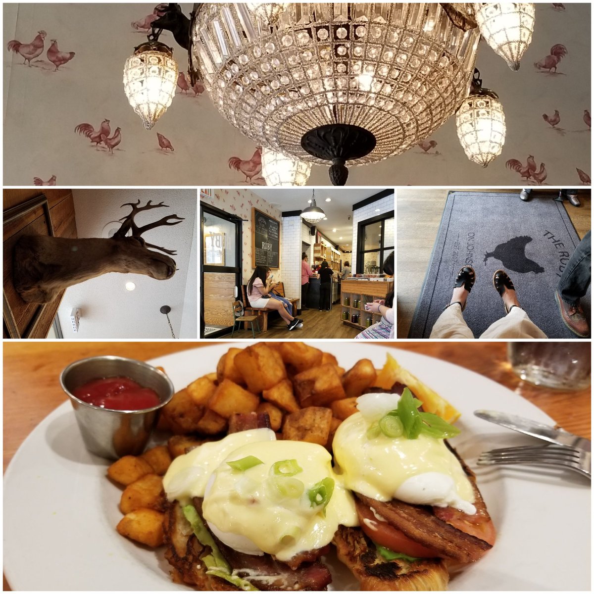 Vancouver Island (Victoria BC)
( ᐢ˙꒳​˙ᐢ )♡ 