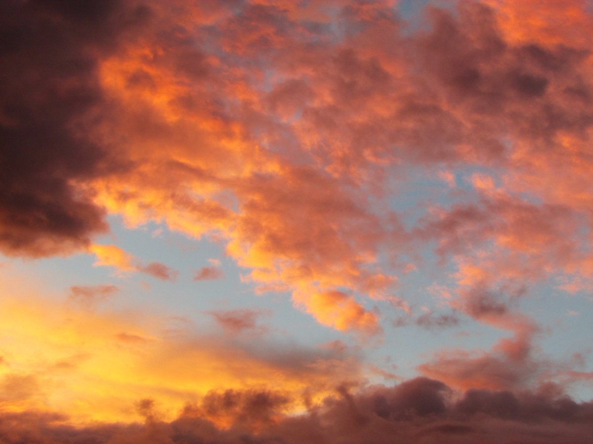 WhiteDahlia13's tweet photo. Look up and smile - even the sky carries #Stydia vibes
🧡💙#perfectcombination #orangeandblue #sundaystydia #stydiasunset #stydiavibes #stydialove #sky #summersunset #lookup #clouds #chasersofthelight https://t.co/4tSX2ygdzR