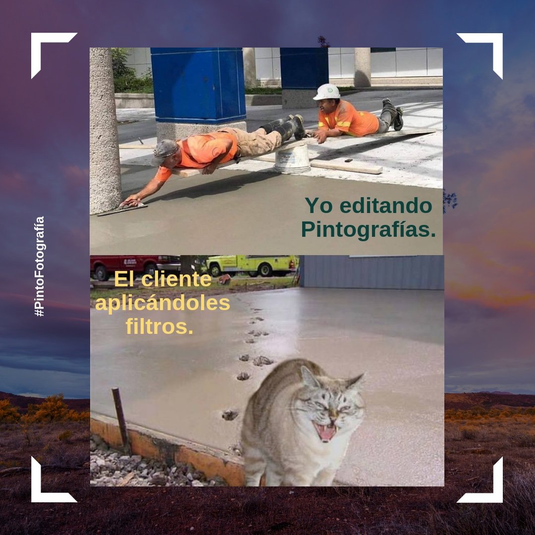 Pintógrafos, ¿Cuántos se sienten identificados? Comparte con otros Pintógrafos y únete a compartir tu talento con el hashtag de nuestra comunidad, miles de Pintografías en Facebook, Twitter e Instagram con el hashtag #PintoFotografía desde más de 100 países en el mundo.