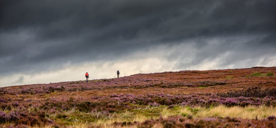 MrsSwinny's tweet photo. @NPhotomag Lonely North Yorkshire Moors https://t.co/9EmH2aaao8