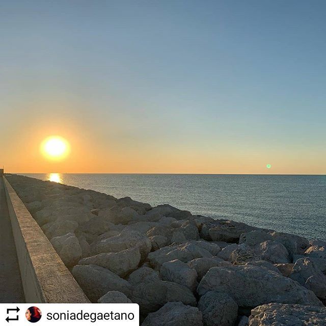albarunnerworld's tweet photo. https://t.co/EXiYnkLADb #Repost @soniadegaetano
• • • • •
#albarunner #runners #runner #runnergirl #runnerofinstagram #runners_of_insta #run #running #wonderwoman #runningmotivation #runningterritory #runrunrun #runnerlife #runplanet #runescape #runway #runforlife #runh… https://t.co/CkY2PJ7WuM
